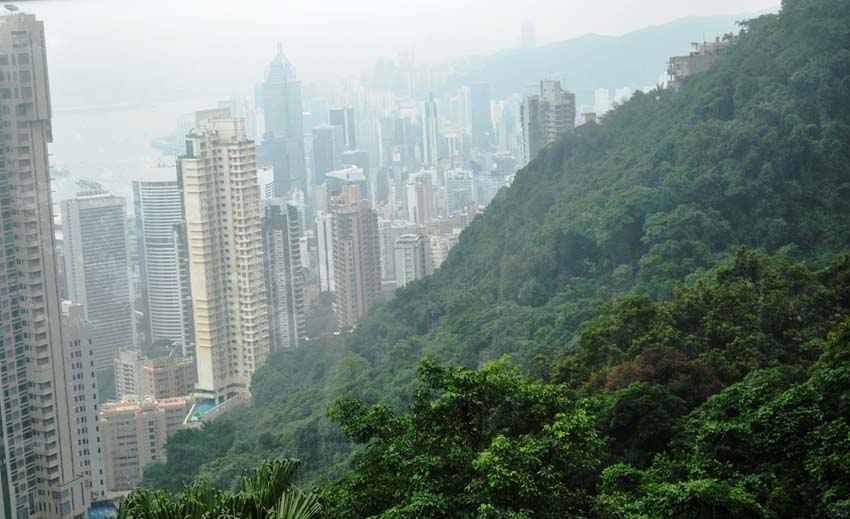 Green Foggy Hill