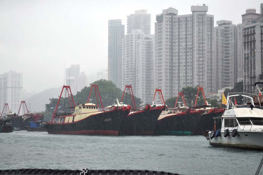 Boats in the Water