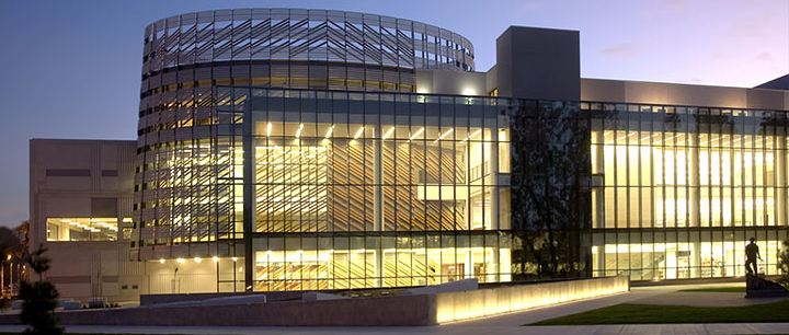 Libraryat Night 